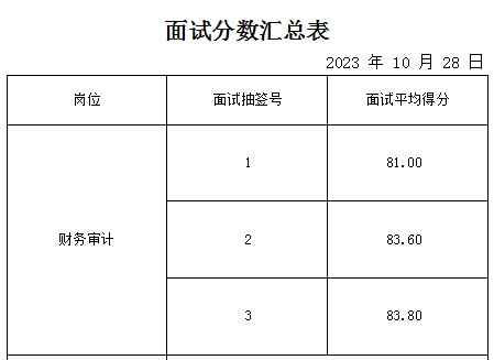 泰安市泰山城建投資有限公司面試成績(jī)公示